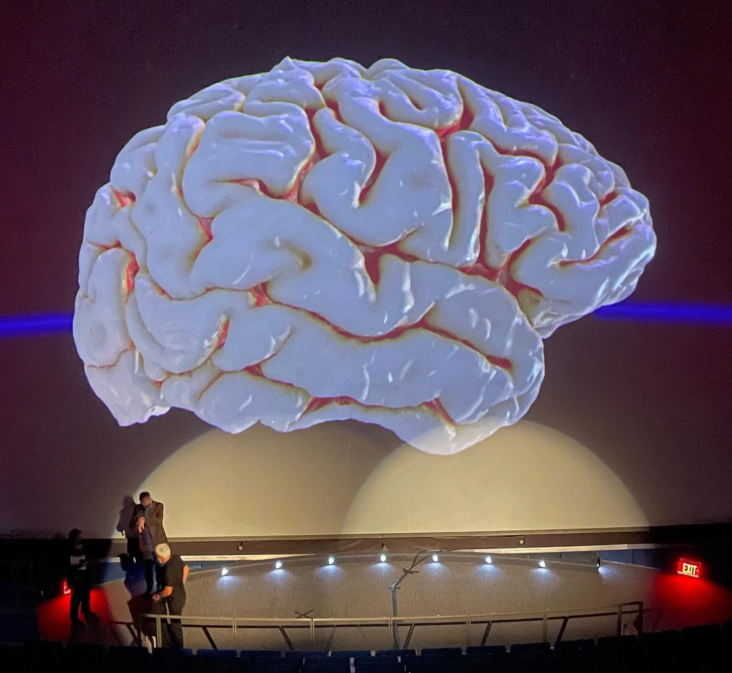 chenbrain