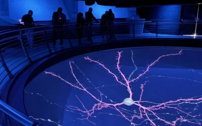 Biomedical Visualization in OpenSpace with Snorkle