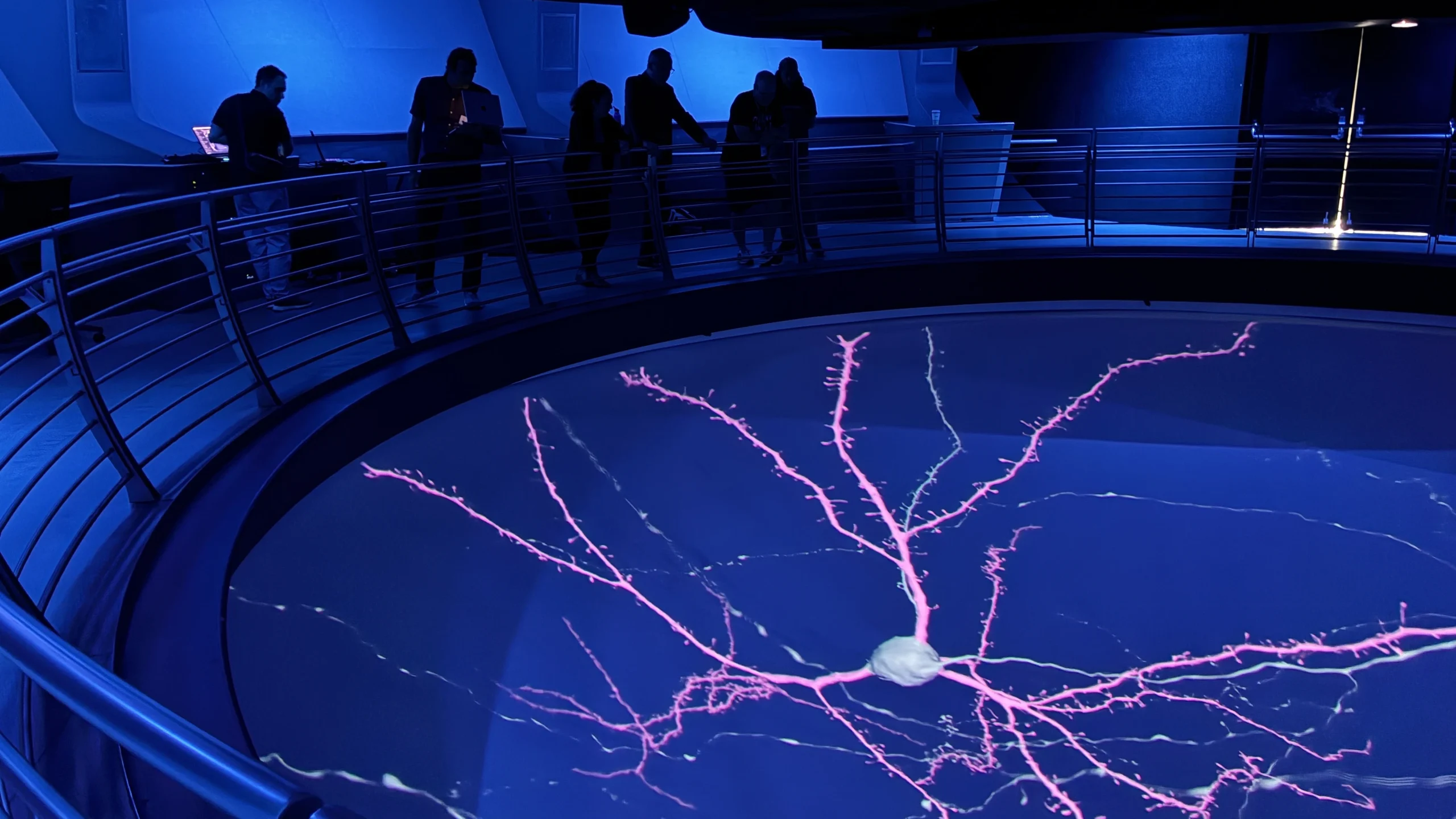 neuron