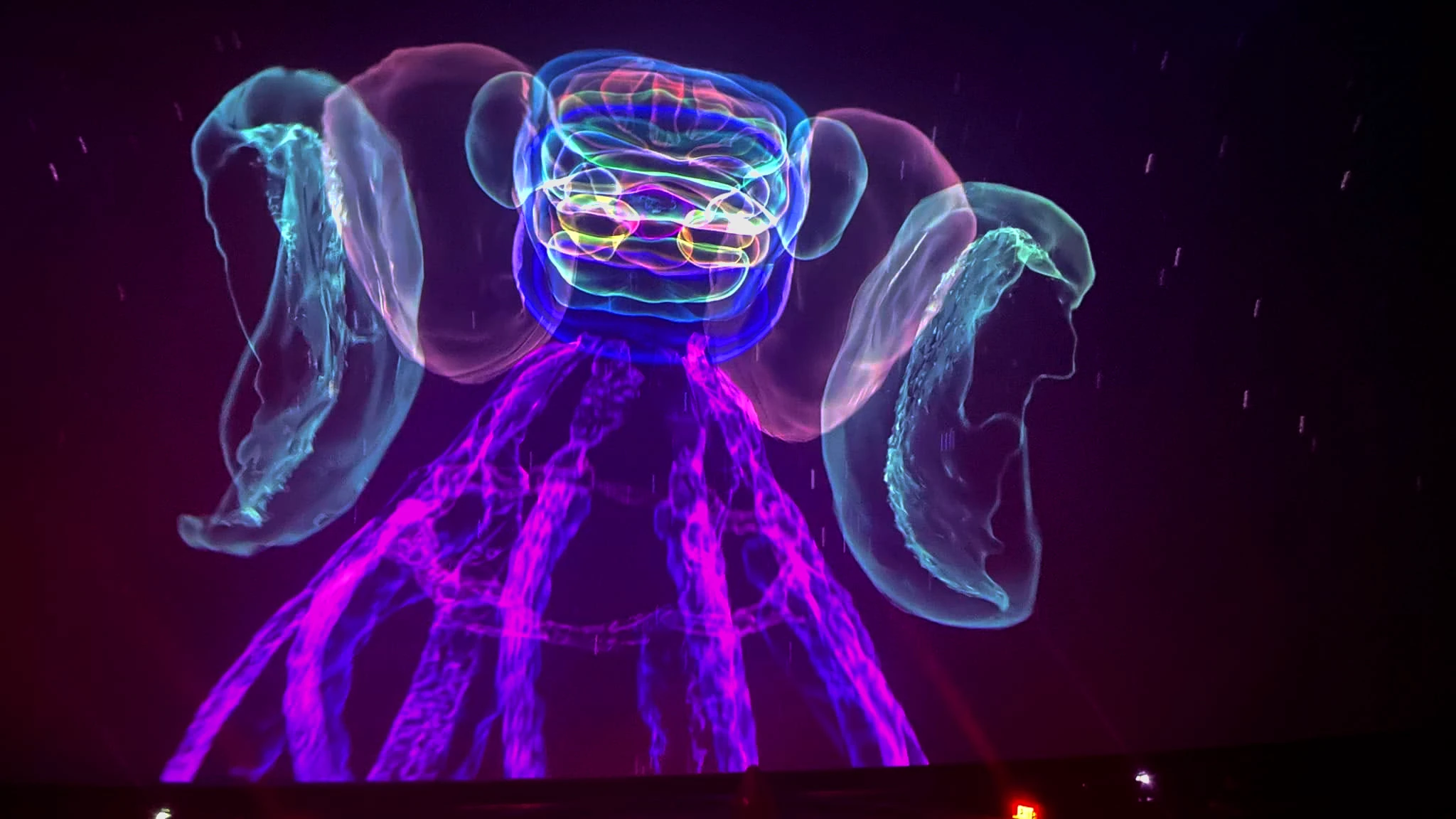 octobrain